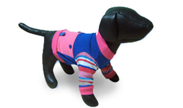 Ropa Chiva, Prendas y accesorios para mascotas