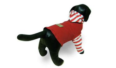 Ropa Chiva, Prendas y accesorios para mascotas